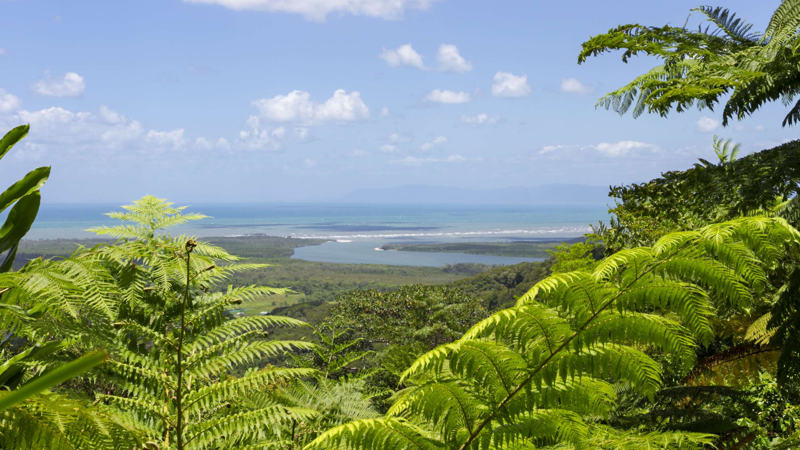 daintree crocodile tours