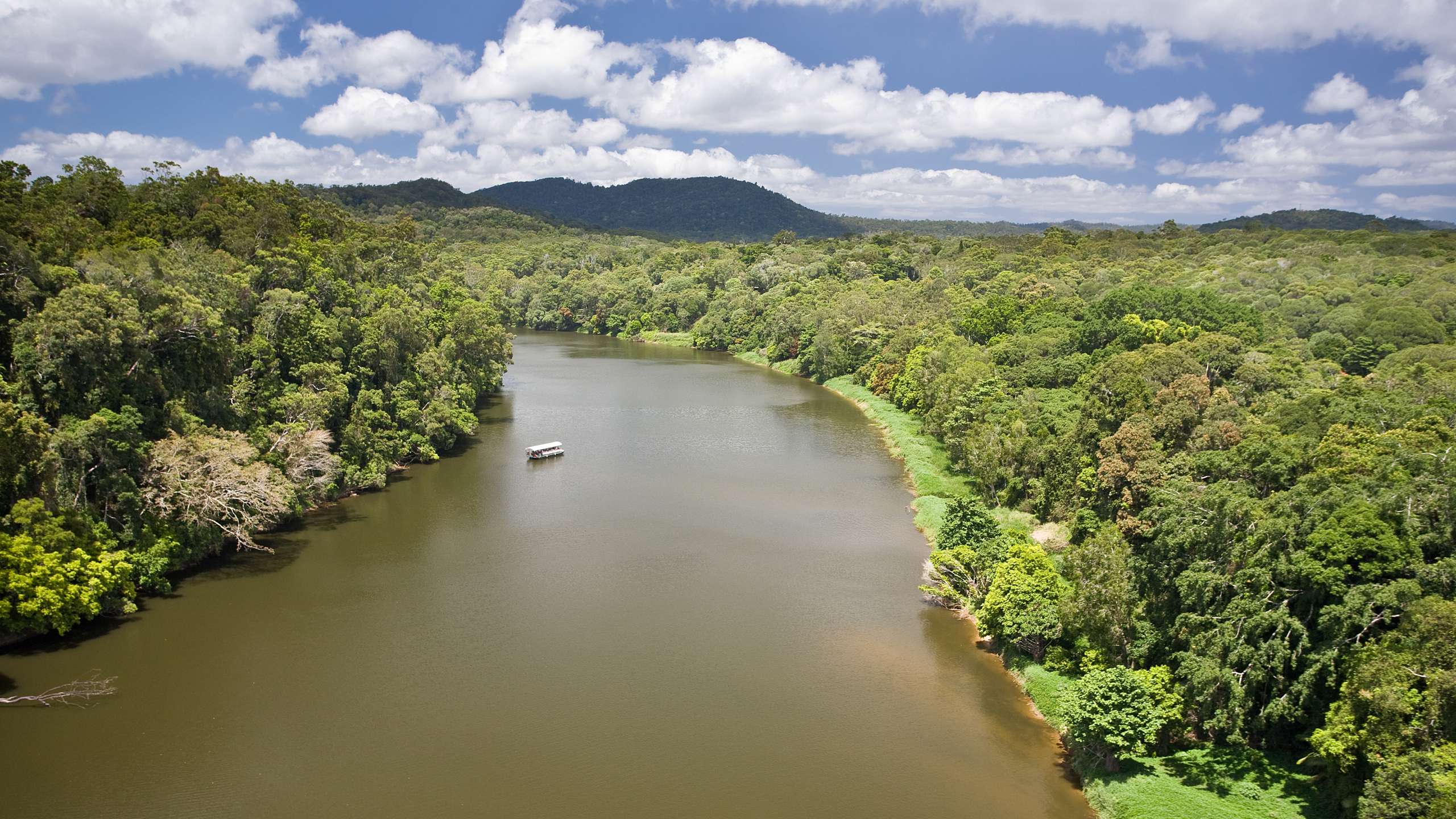 daintree river cruises
