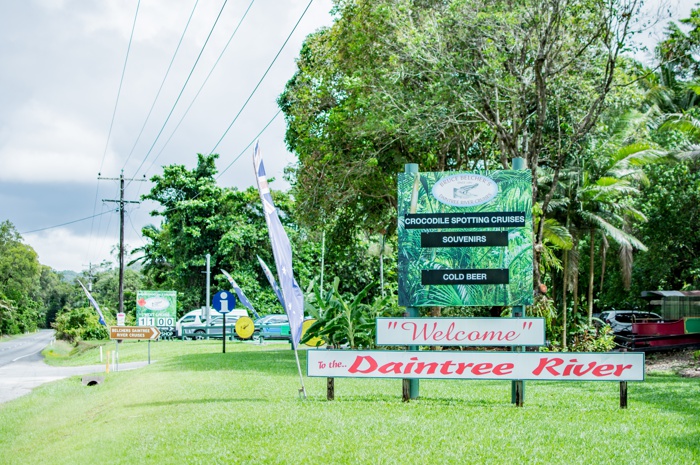 cruises daintree to see crocodiles